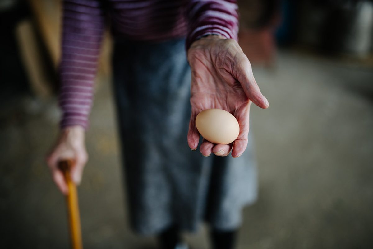 Meal Preparation and Light Housekeeping: What a Caregiver Actually Does in a Visit — in-home senior care in North Texas