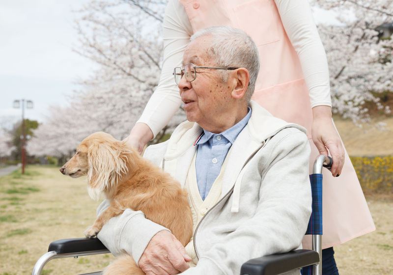 An older man in a wheelchair holding his dog outside while a caregiver stands behind him